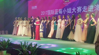 安陽設(shè)計策劃與全方位活動解決方案